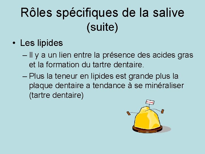 Rôles spécifiques de la salive (suite) • Les lipides – Il y a un