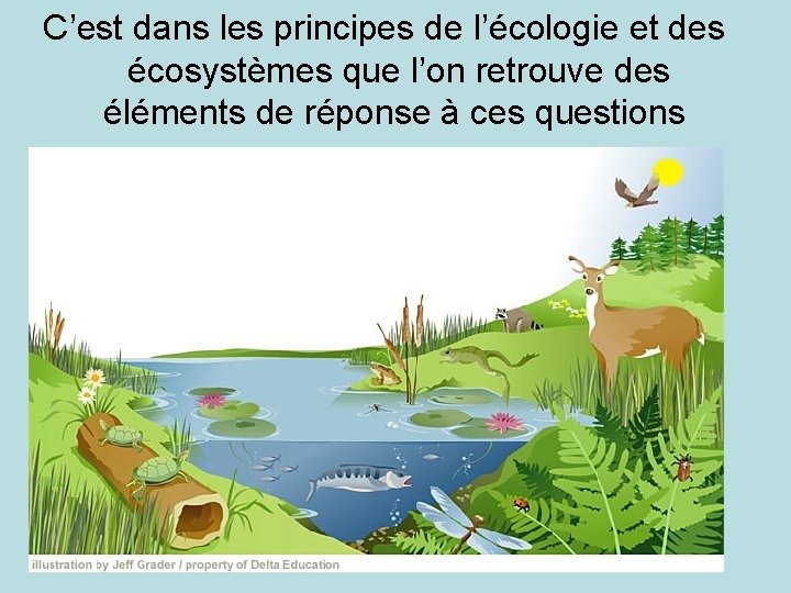 C’est dans les principes de l’écologie et des écosystèmes que l’on retrouve des éléments