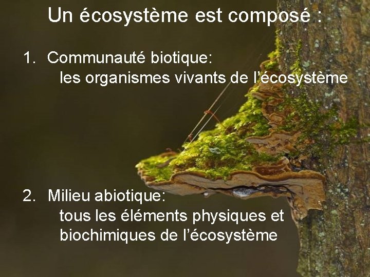Un écosystème est composé : 1. Communauté biotique: les organismes vivants de l’écosystème 2.