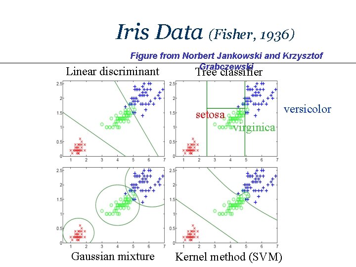 Iris Data (Fisher, 1936) Figure from Norbert Jankowski and Krzysztof Grabczewski Linear discriminant Tree