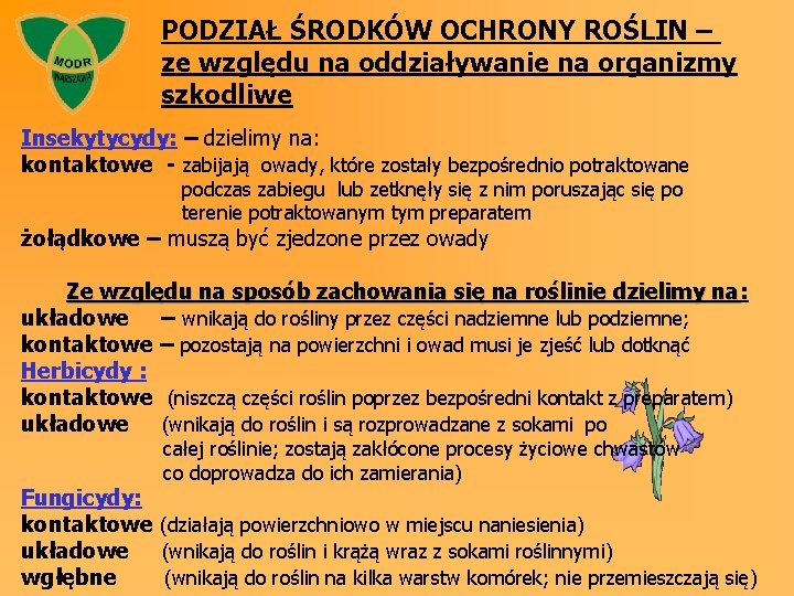 PODZIAŁ ŚRODKÓW OCHRONY ROŚLIN – ze względu na oddziaływanie na organizmy szkodliwe Insekytycydy: –