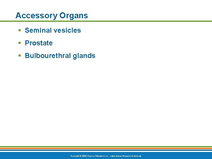 Accessory Organs § Seminal vesicles § Prostate § Bulbourethral glands Copyright © 2009 Pearson