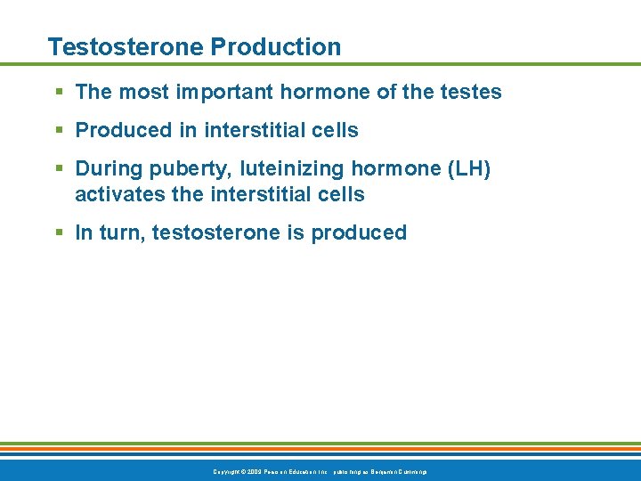 Testosterone Production § The most important hormone of the testes § Produced in interstitial