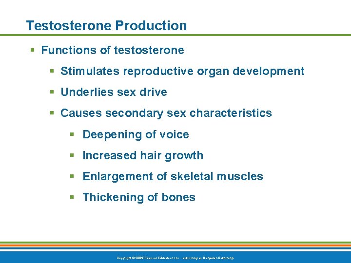 Testosterone Production § Functions of testosterone § Stimulates reproductive organ development § Underlies sex