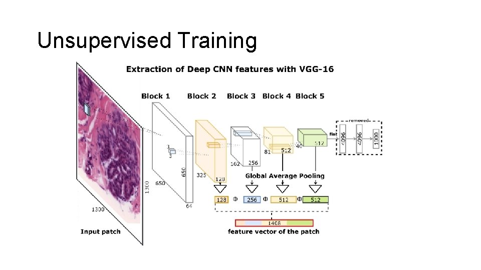 Unsupervised Training 