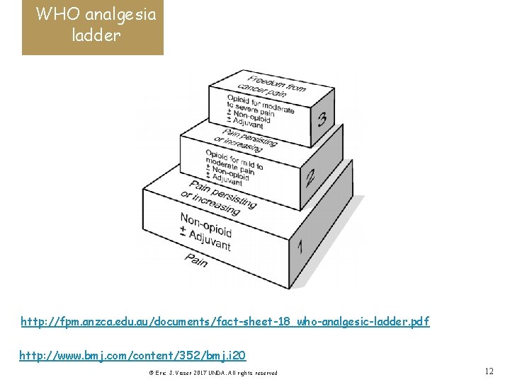 WHO analgesia ladder http: //fpm. anzca. edu. au/documents/fact-sheet-18_who-analgesic-ladder. pdf http: //www. bmj. com/content/352/bmj. i