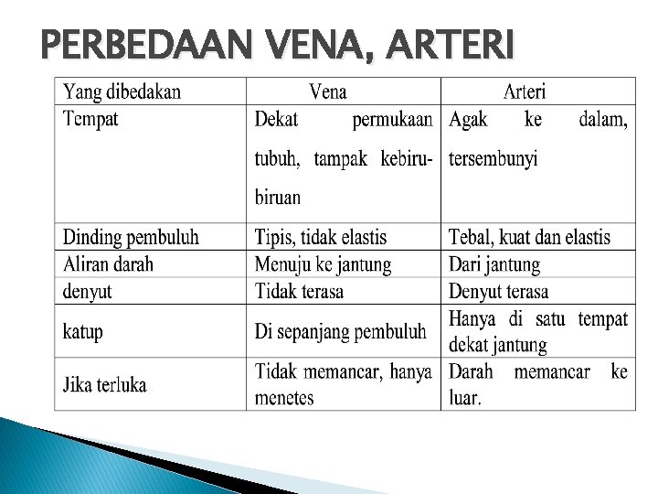 PERBEDAAN VENA, ARTERI 