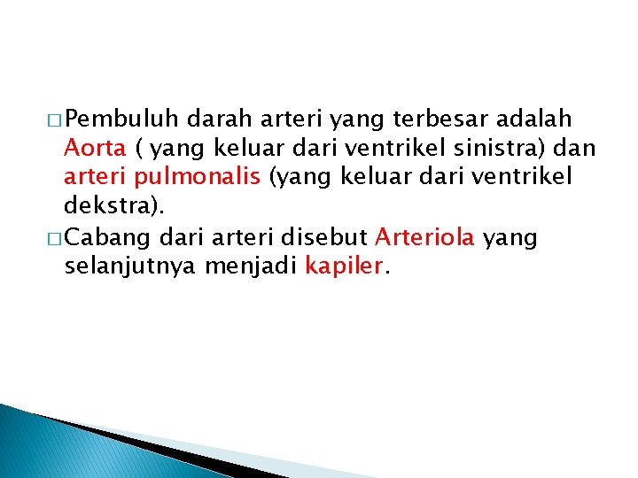 � Pembuluh darah arteri yang terbesar adalah Aorta ( yang keluar dari ventrikel sinistra)