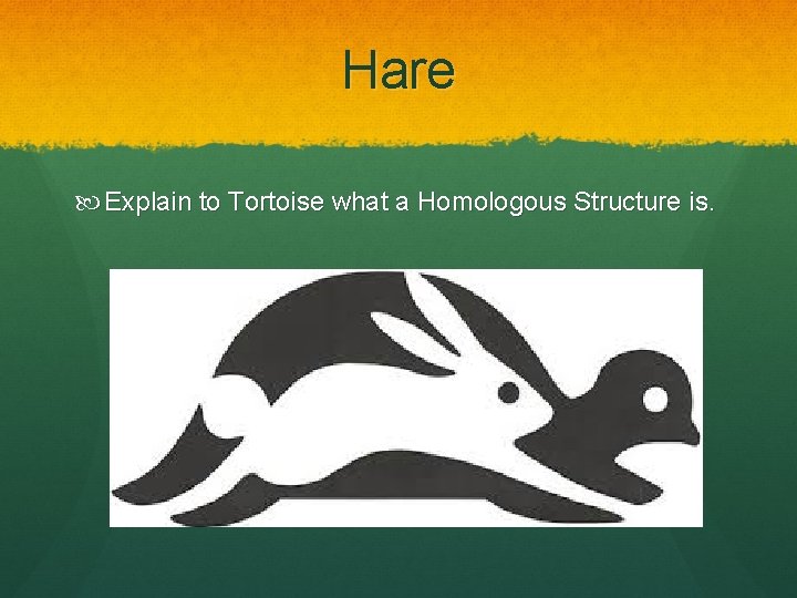 Hare Explain to Tortoise what a Homologous Structure is. 