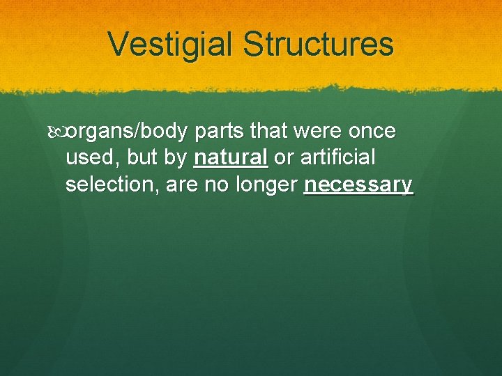 Vestigial Structures organs/body parts that were once used, but by natural or artificial selection,