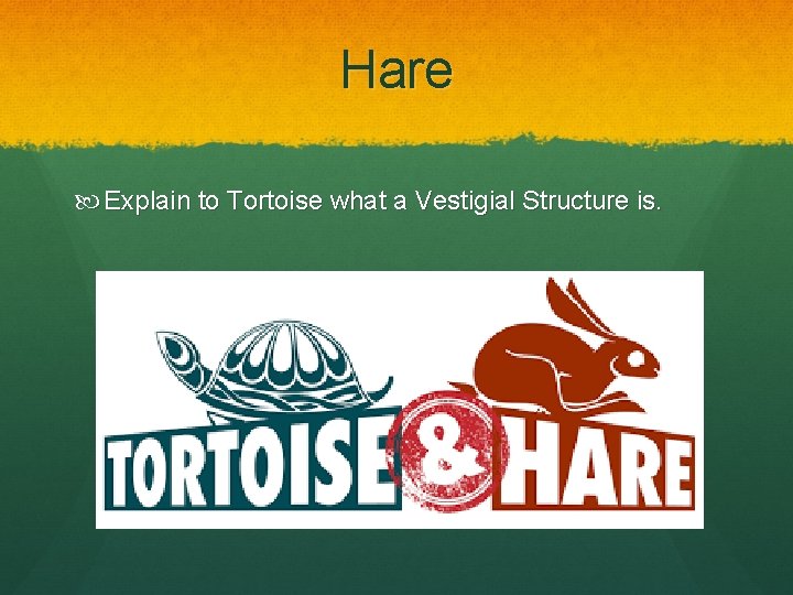 Hare Explain to Tortoise what a Vestigial Structure is. 