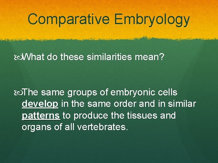 Comparative Embryology What do these similarities mean? The same groups of embryonic cells develop