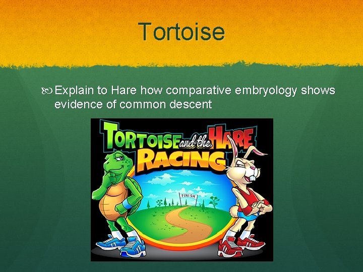 Tortoise Explain to Hare how comparative embryology shows evidence of common descent 