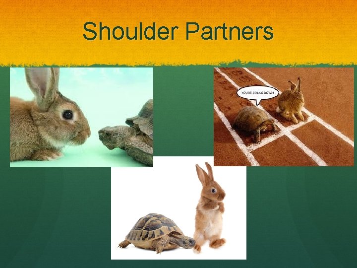 Shoulder Partners 