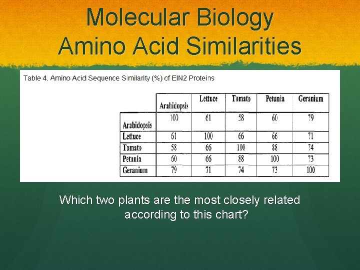 Molecular Biology Amino Acid Similarities Which two plants are the most closely related according