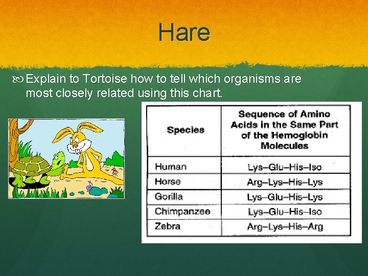 Hare Explain to Tortoise how to tell which organisms are most closely related using