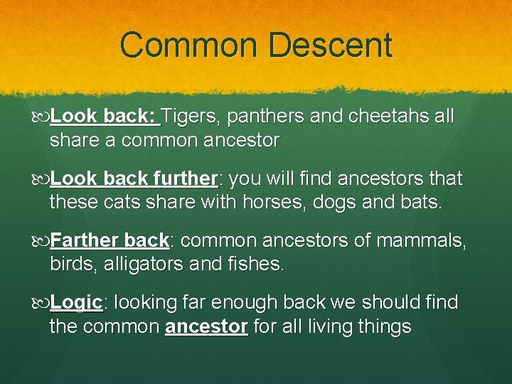 Common Descent Look back: Tigers, panthers and cheetahs all share a common ancestor Look