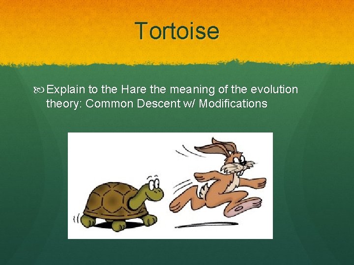 Tortoise Explain to the Hare the meaning of the evolution theory: Common Descent w/