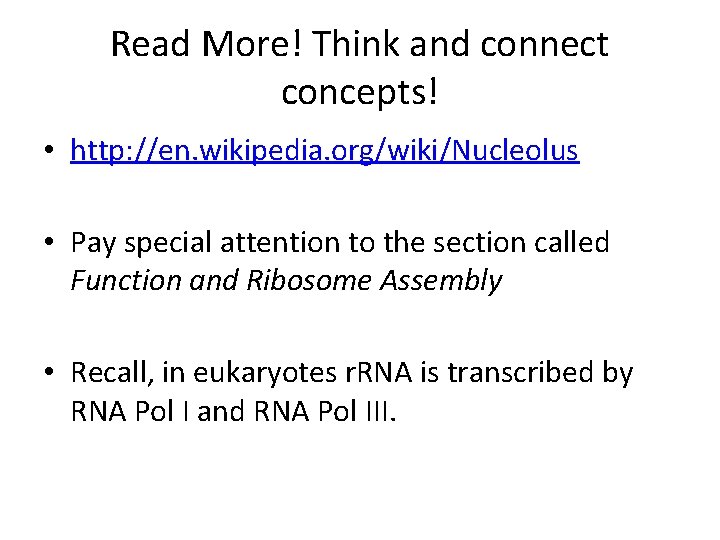Read More! Think and connect concepts! • http: //en. wikipedia. org/wiki/Nucleolus • Pay special