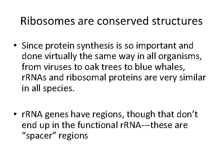 Ribosomes are conserved structures • Since protein synthesis is so important and done virtually