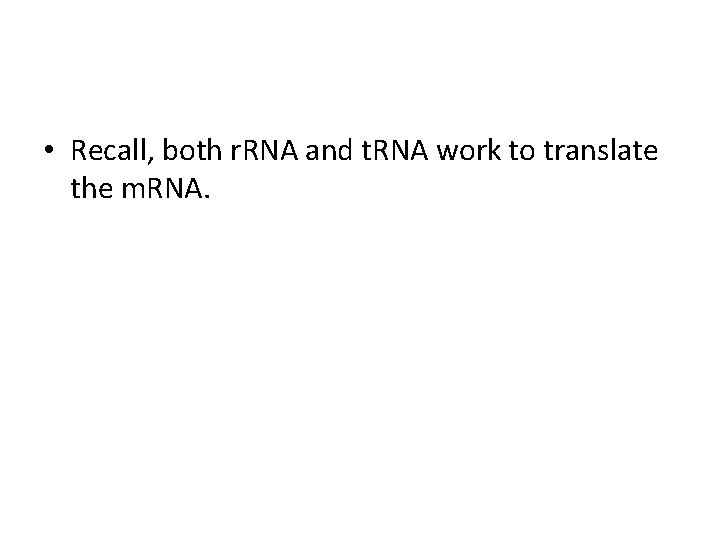  • Recall, both r. RNA and t. RNA work to translate the m.