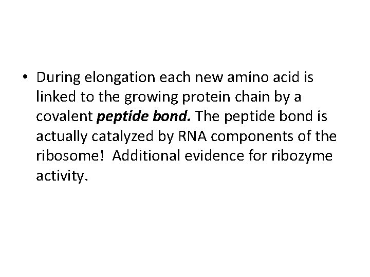  • During elongation each new amino acid is linked to the growing protein