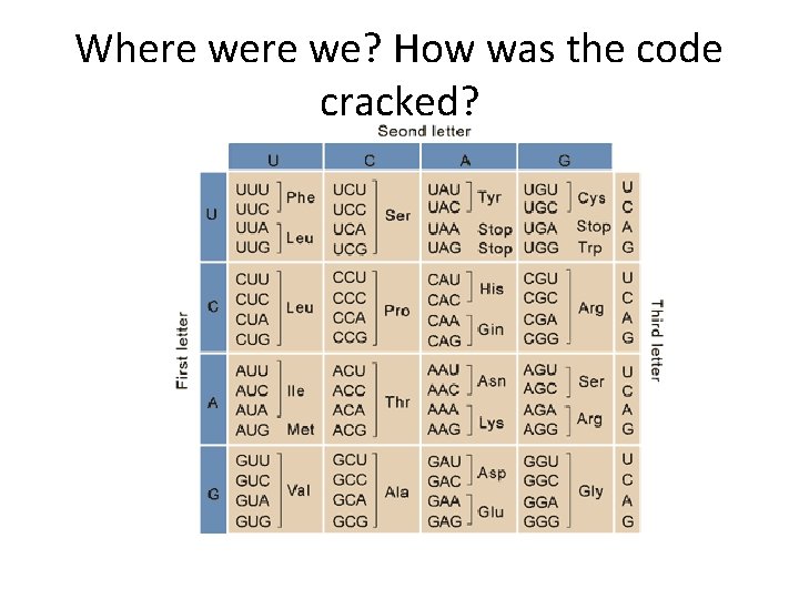 Where we? How was the code cracked? 