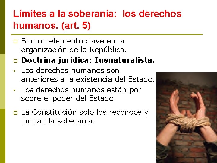 Límites a la soberanía: los derechos humanos. (art. 5) p p § § p