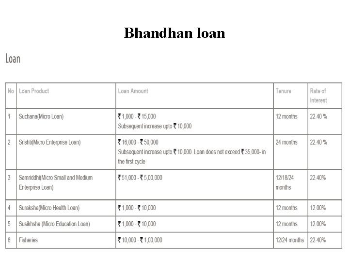 Bhandhan loan 