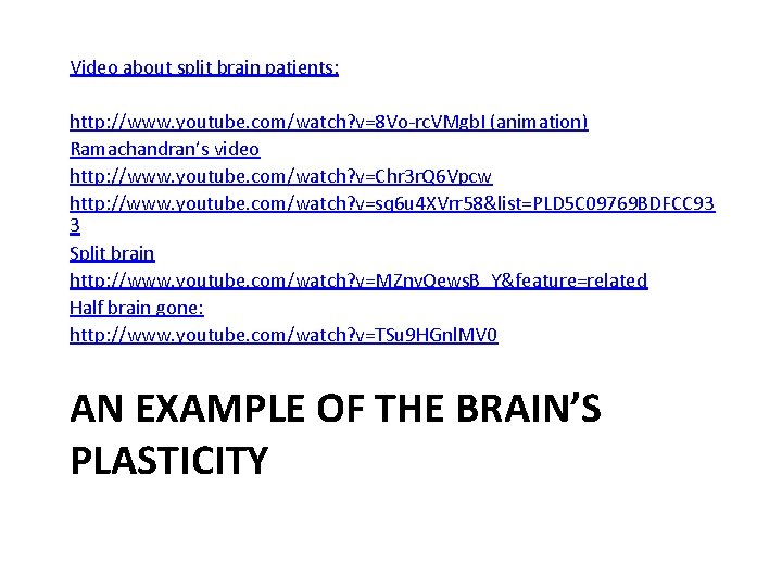 Video about split brain patients: http: //www. youtube. com/watch? v=8 Vo-rc. VMgb. I (animation)
