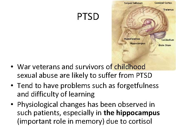 PTSD • War veterans and survivors of childhood sexual abuse are likely to suffer