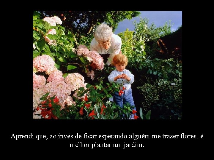 Aprendi que, ao invés de ficar esperando alguém me trazer flores, é melhor plantar