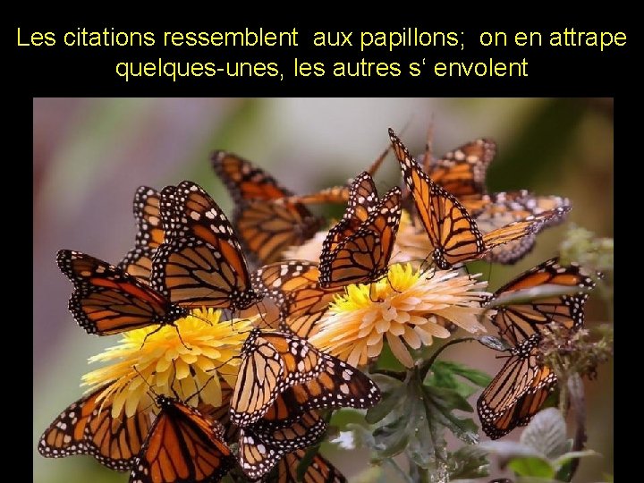 Les citations ressemblent aux papillons; on en attrape quelques-unes, les autres s‘ envolent û