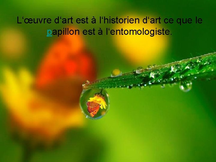 L‘œuvre d‘art est à l‘historien d‘art ce que le papillon est à l‘entomologiste. 