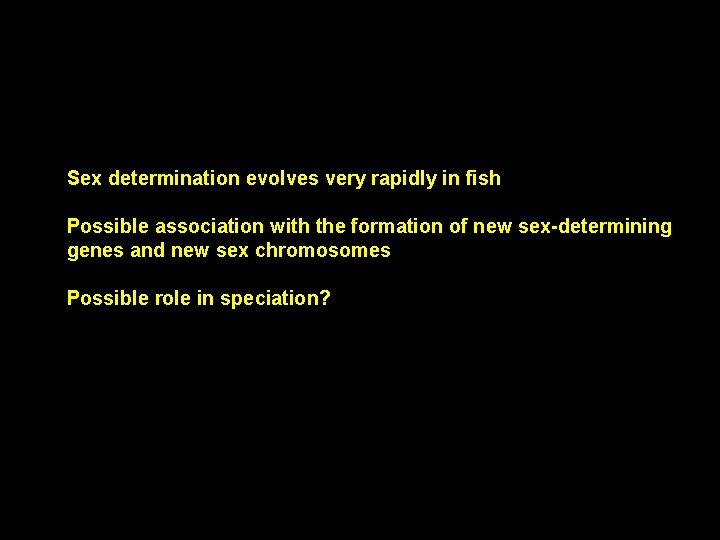 Sex determination evolves very rapidly in fish Possible association with the formation of new