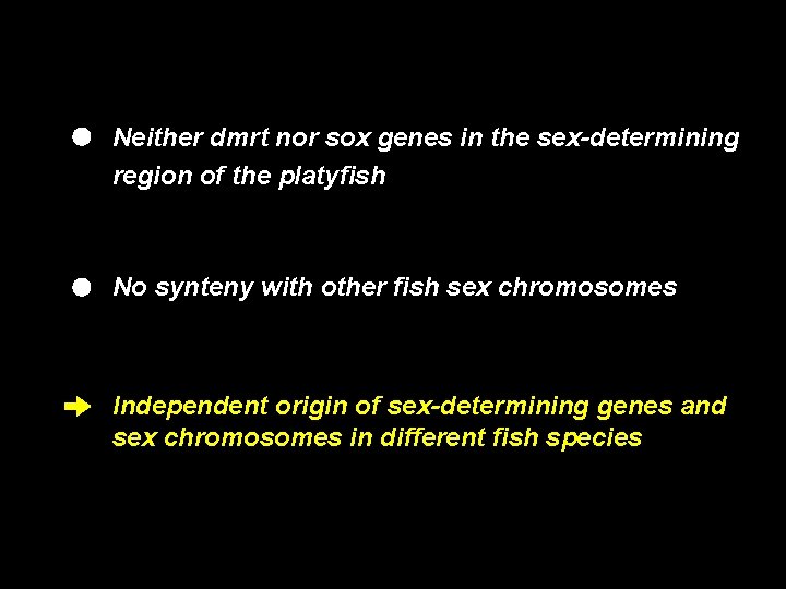 Neither dmrt nor sox genes in the sex-determining region of the platyfish No synteny