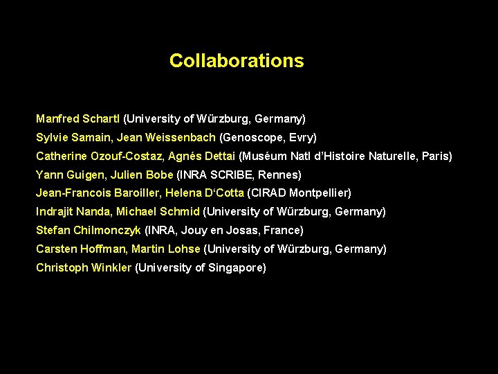 Collaborations Manfred Schartl (University of Würzburg, Germany) Sylvie Samain, Jean Weissenbach (Genoscope, Evry) Catherine