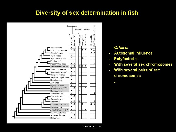 Diversity of sex determination in fish - Mank et al. 2006 Others: Autosomal influence