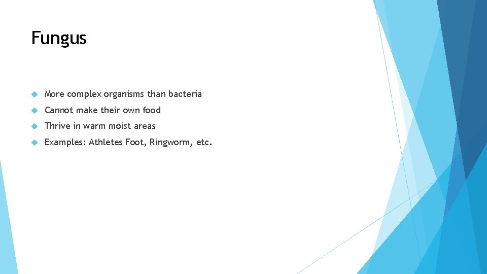 Fungus More complex organisms than bacteria Cannot make their own food Thrive in warm
