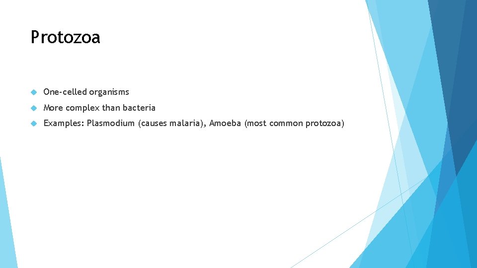 Protozoa One-celled organisms More complex than bacteria Examples: Plasmodium (causes malaria), Amoeba (most common