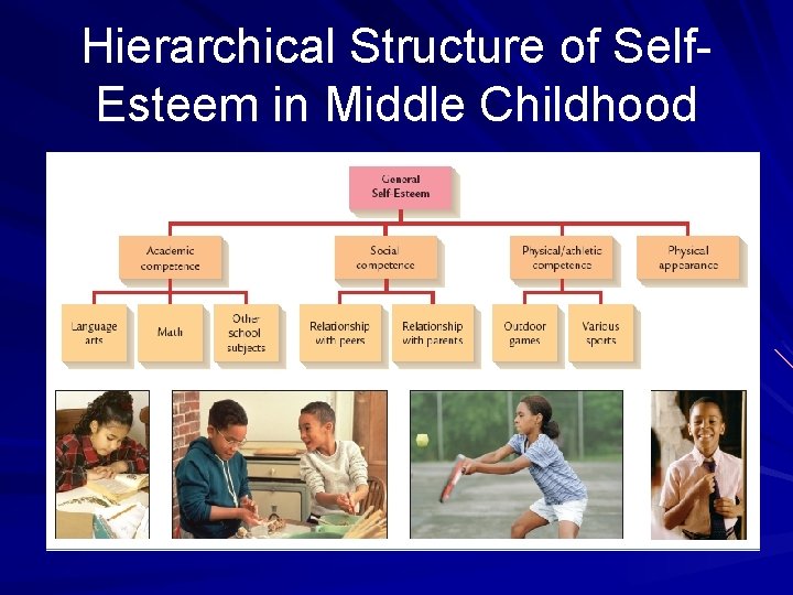 Hierarchical Structure of Self. Esteem in Middle Childhood 