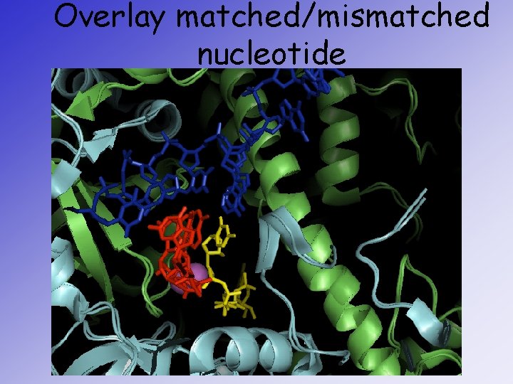 Overlay matched/mismatched nucleotide 