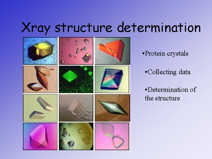 Xray structure determination • Protein crystals • Collecting data • Determination of the structure