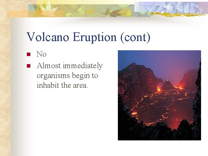 Volcano Eruption (cont) n n No Almost immediately organisms begin to inhabit the area.