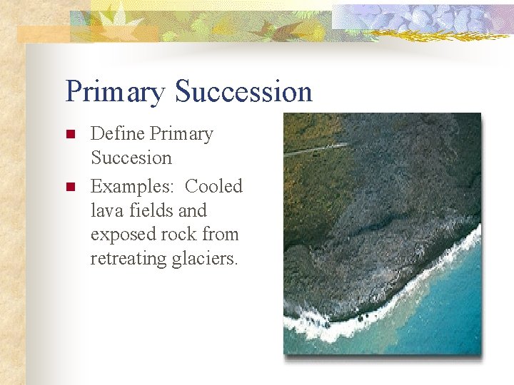 Primary Succession n n Define Primary Succesion Examples: Cooled lava fields and exposed rock