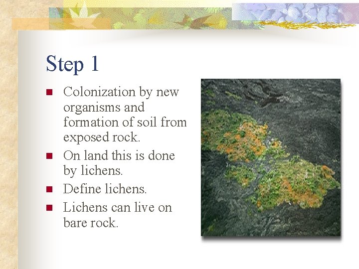 Step 1 n n Colonization by new organisms and formation of soil from exposed