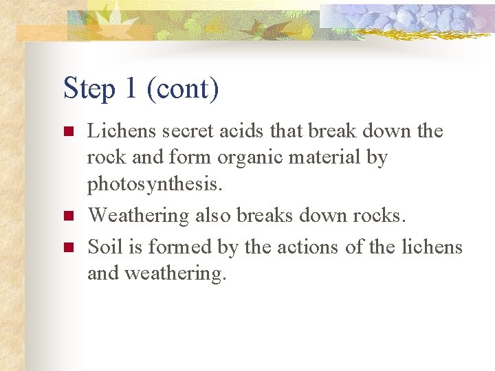 Step 1 (cont) n n n Lichens secret acids that break down the rock