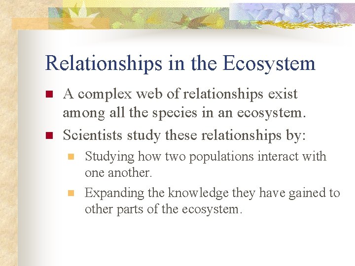 Relationships in the Ecosystem n n A complex web of relationships exist among all