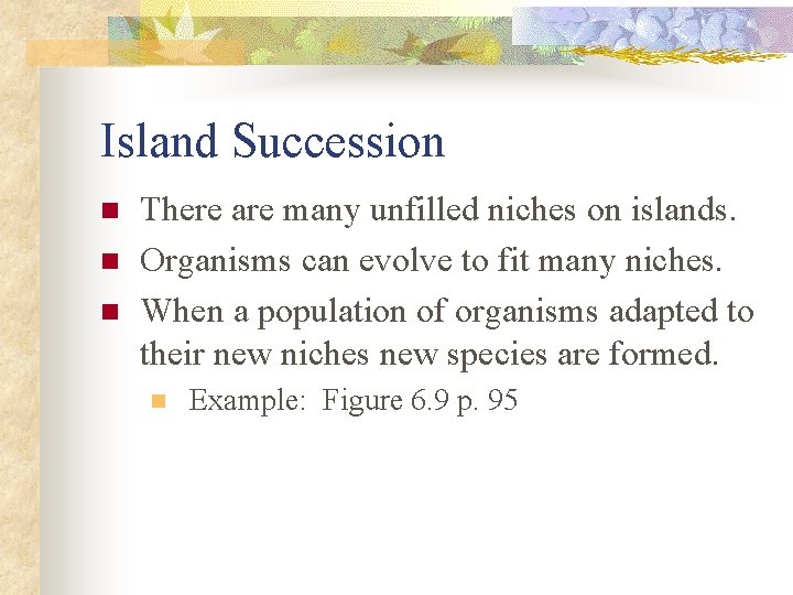 Island Succession n There are many unfilled niches on islands. Organisms can evolve to