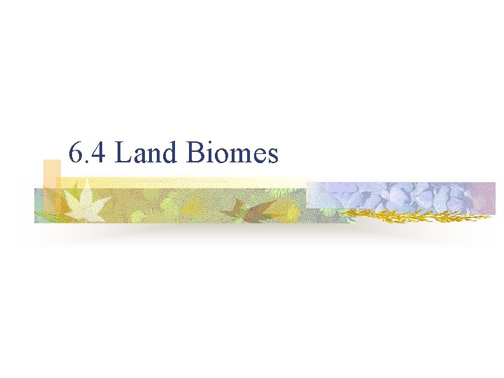 6. 4 Land Biomes 